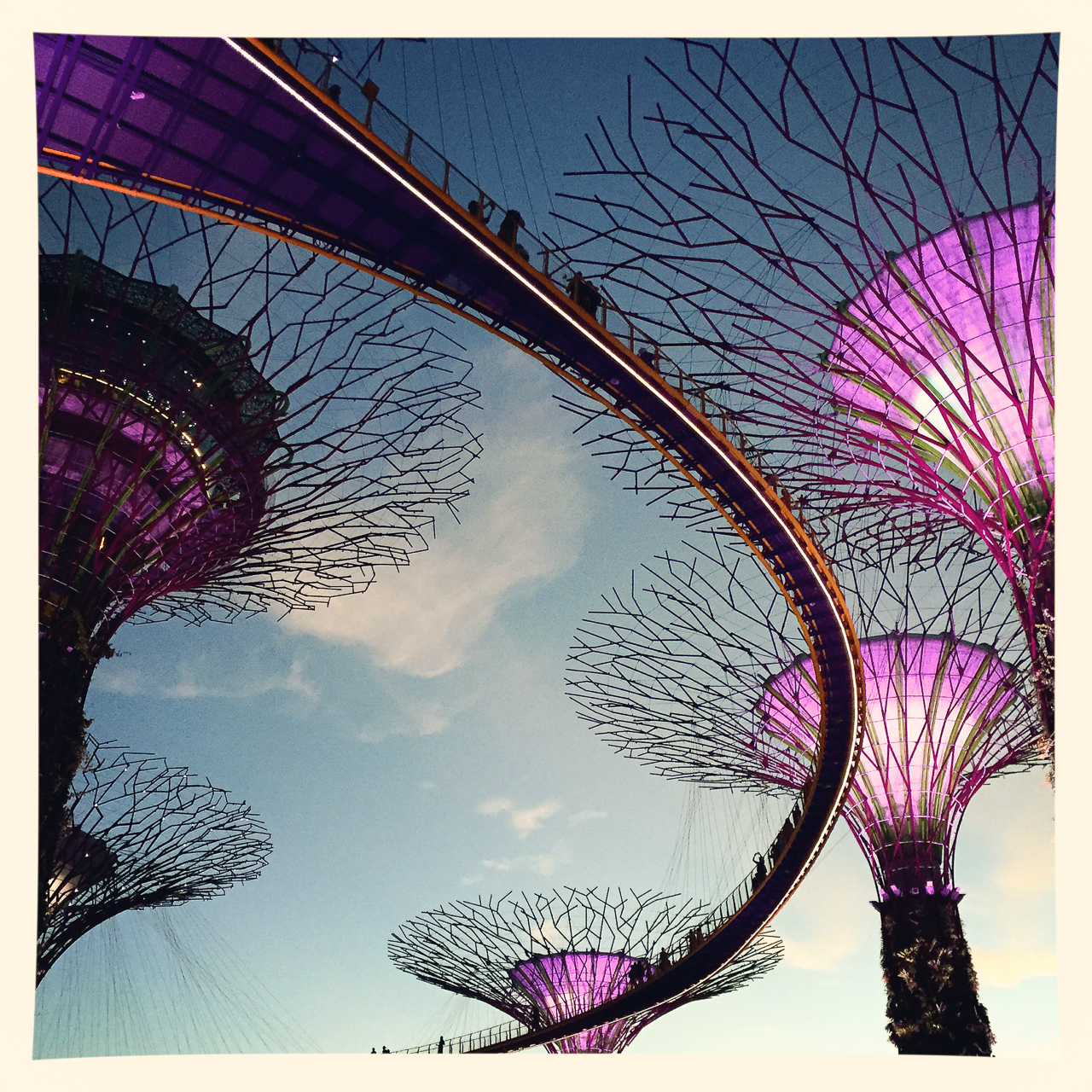 Super Trees Singapore