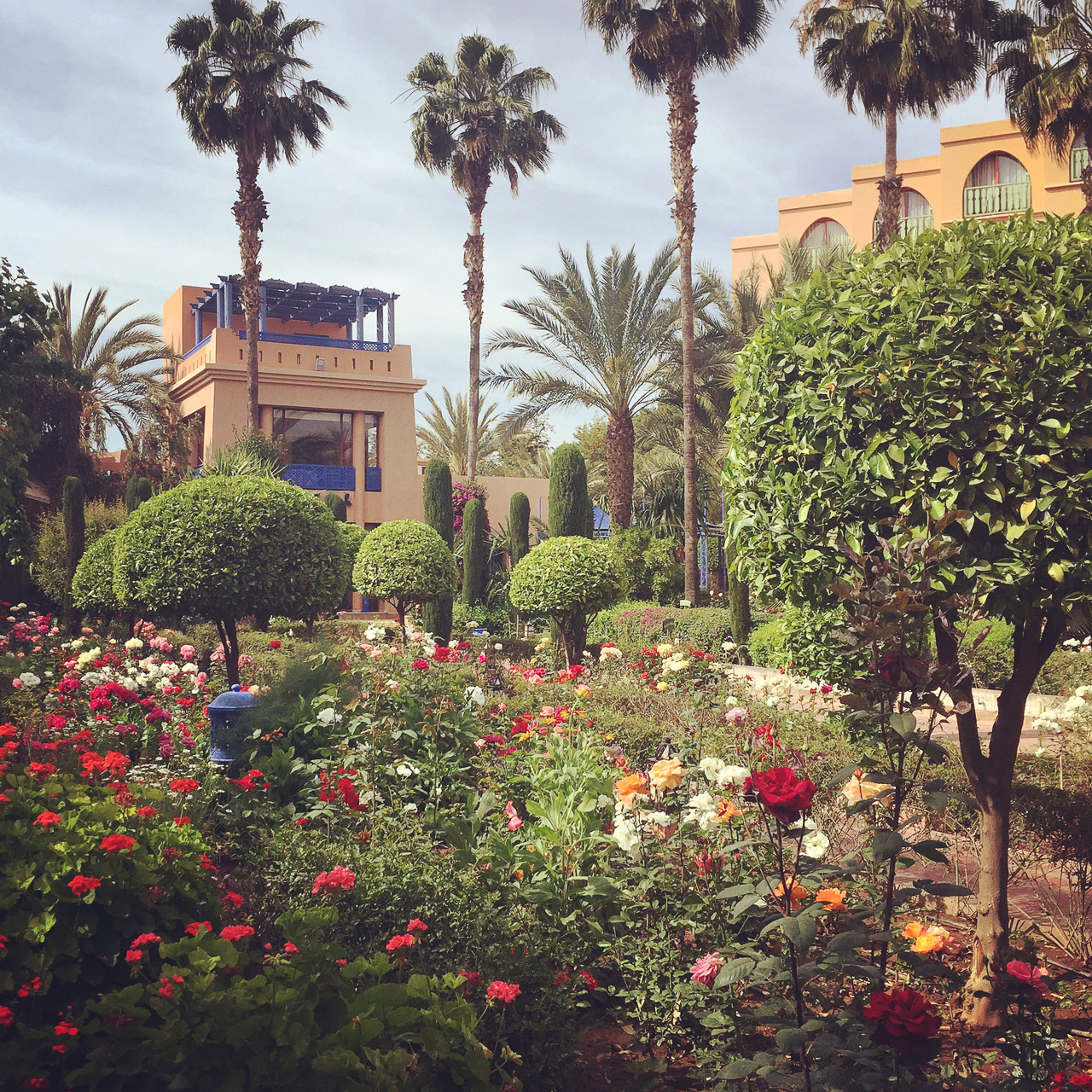 Garden in Marakech Morocco