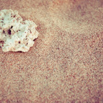 Coral on Nusa Dua Beach in Bali