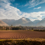 Field in the Mountains of Peru