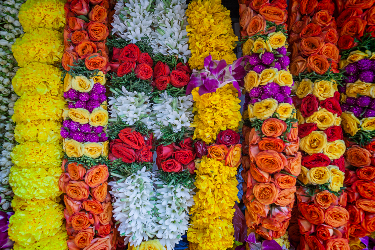  Indian  Bridal  Flower Garland  in Singapore Battered LuggageBattered 