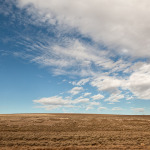 Somewhere along a Washington State Highway