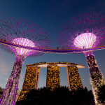 Supertrees and The Marina Bay Sands in Singapore