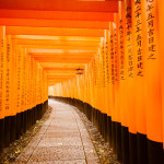 Torii Gates in the Rain at Fushimi Inari-taisha, Kyoto Japan