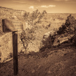 When Mules Pass, Grand Canyon